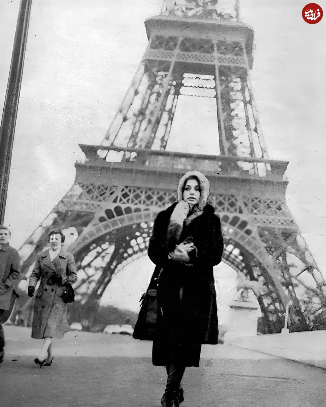 photogoogoosh_1704371739_3272829823561739599_47171307983_11zon