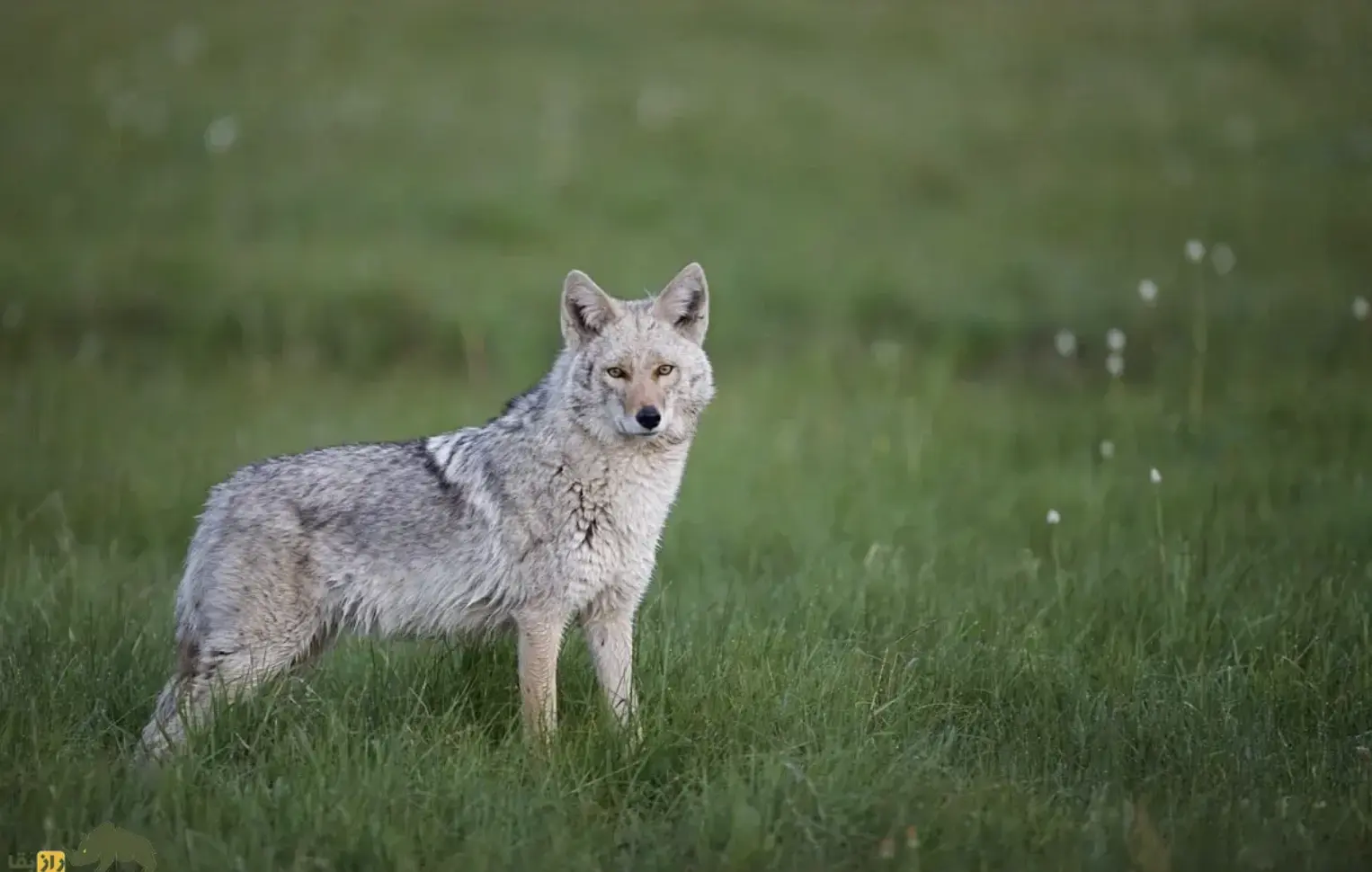 Screenshot 2026-01-21 223811