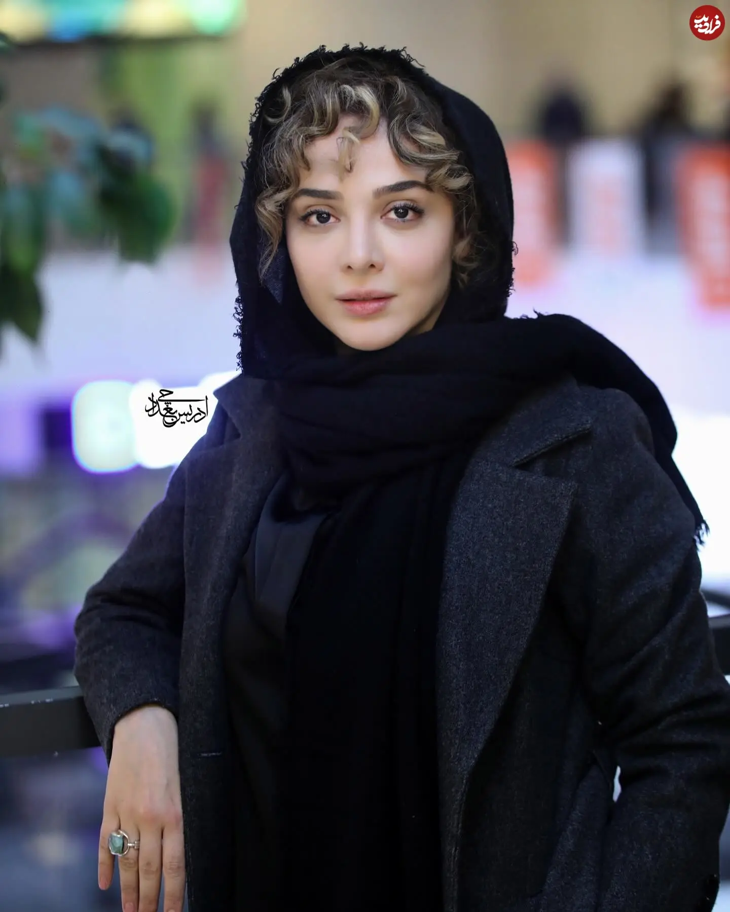 elmiradehghani_1738342791_3557799660928291363_1177999797