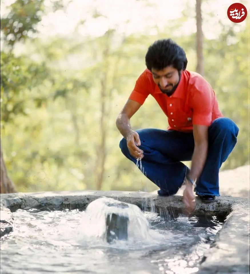 68935576_354456242169175_3930079853923008512_n