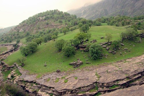 تصاویر؛ طبیعت بکر ایلام، بهشت گردشگران تصاویر؛ طبیعت بکر ایلام، بهشت گردشگران