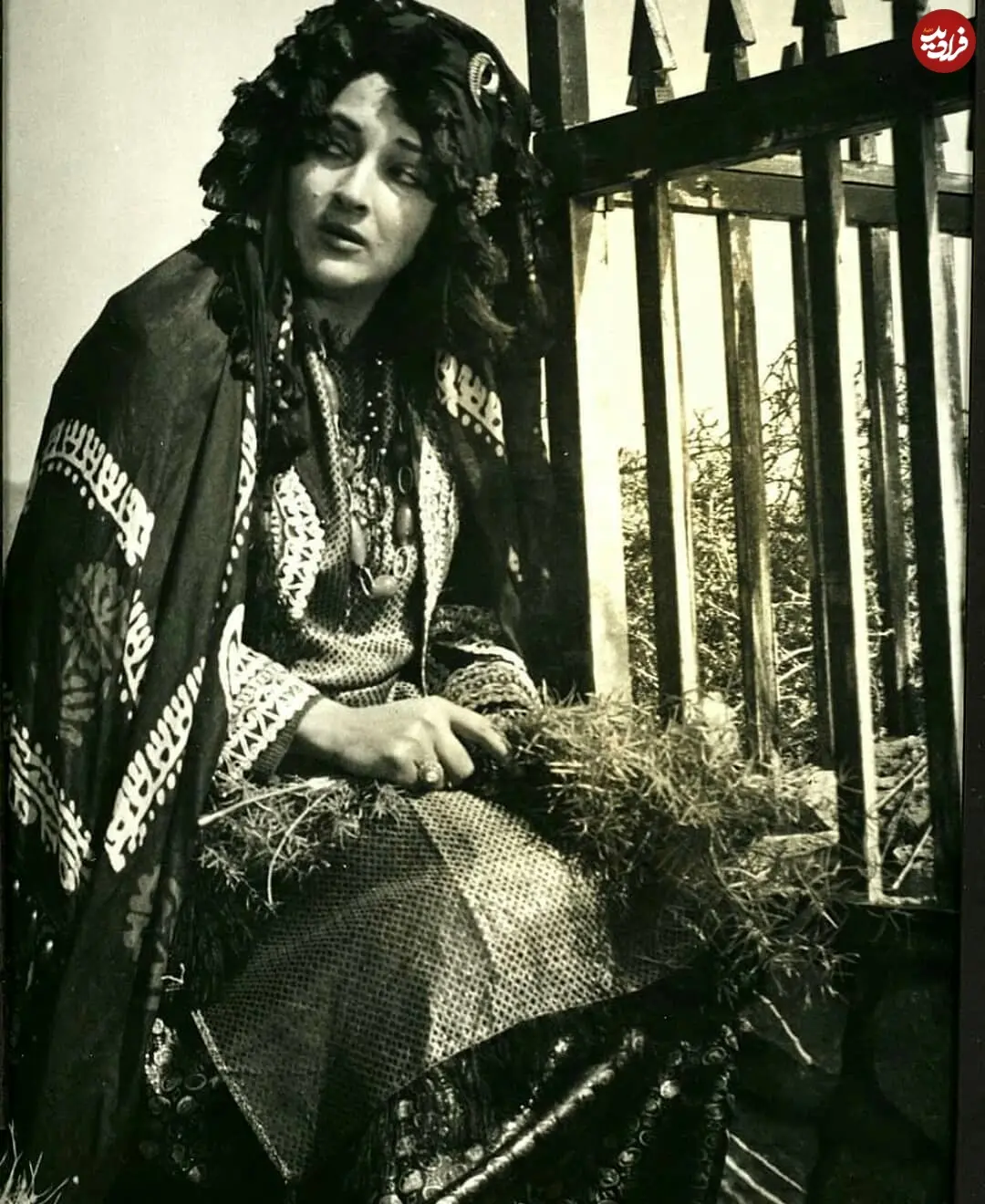 honarghadim_1539794873_1892259003666551326_2121306958