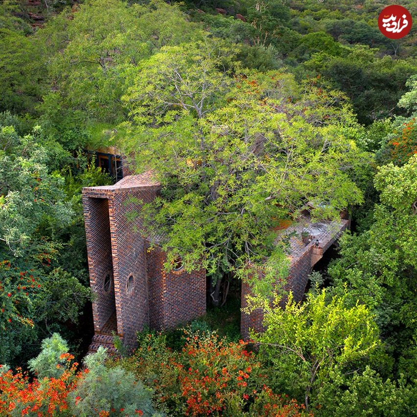 frankie-pappas-house-of-the-big-arch-south-africa-waterberg_dezeen_2364_col_21-852x852