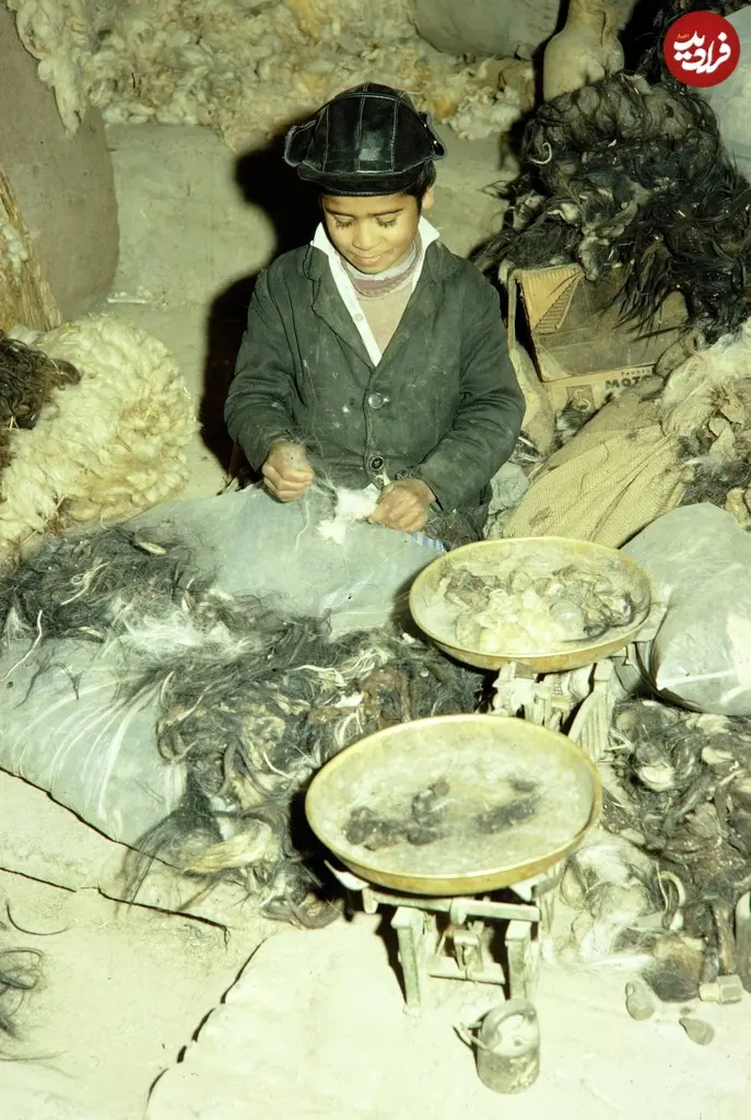 کودک پشم ریس