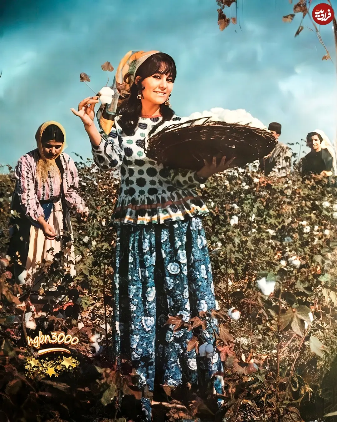 hgbn3000_1739382736_3566523353278338983_11671333881