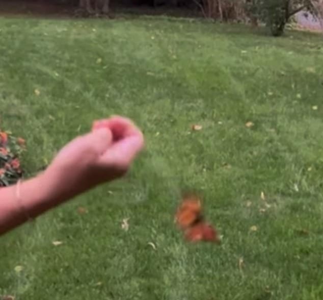 121