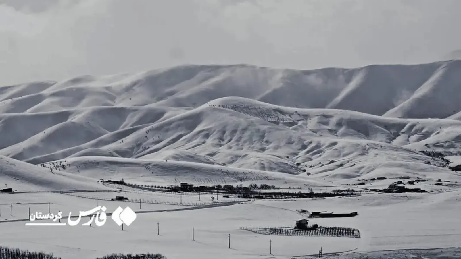 Screenshot 2026-01-15 003633