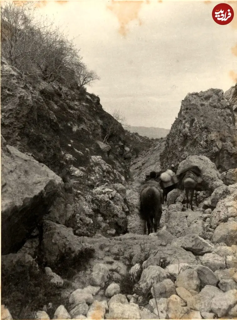 بوشهر به شیراز