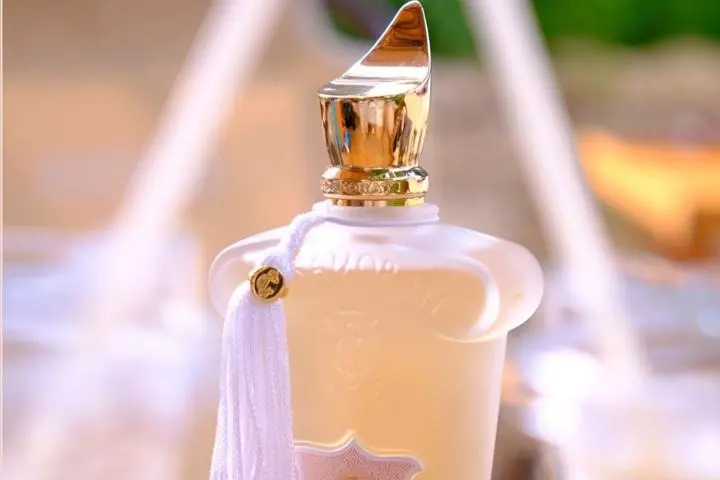 بهترین عطر زنانه چهار فصل؛ معرفی 7 عطر پرطرفدار