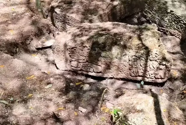 101