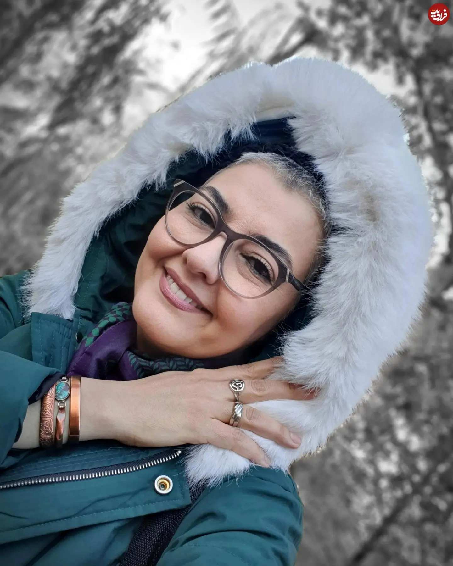 anahitahemmati_1733315451_3515627275238620185_1440392399