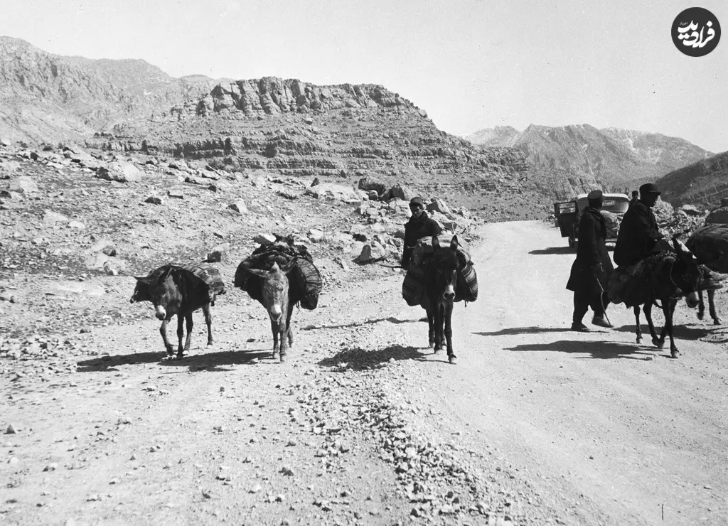قزوین رشت