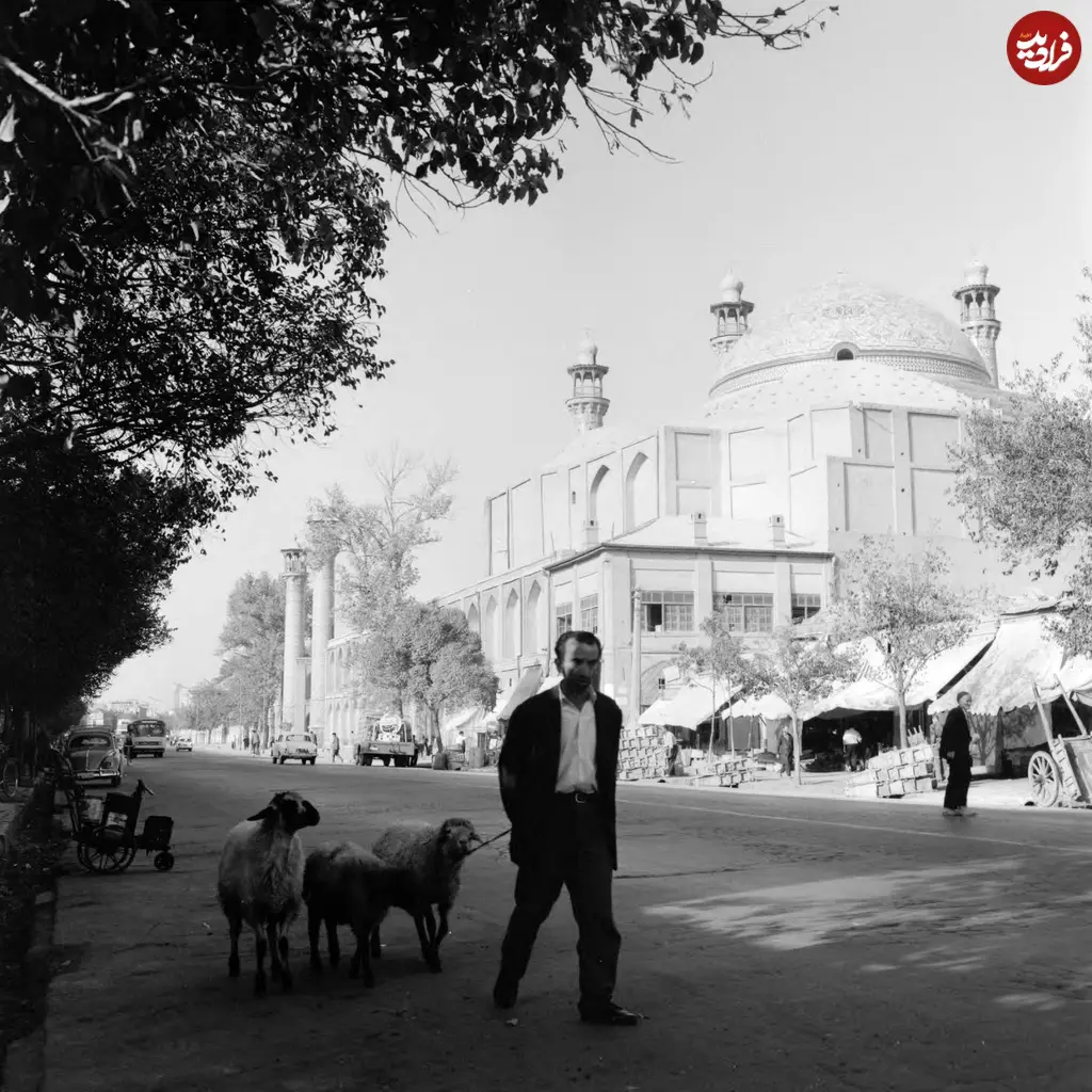 گوسفند خیابان سیروس دهه 40
