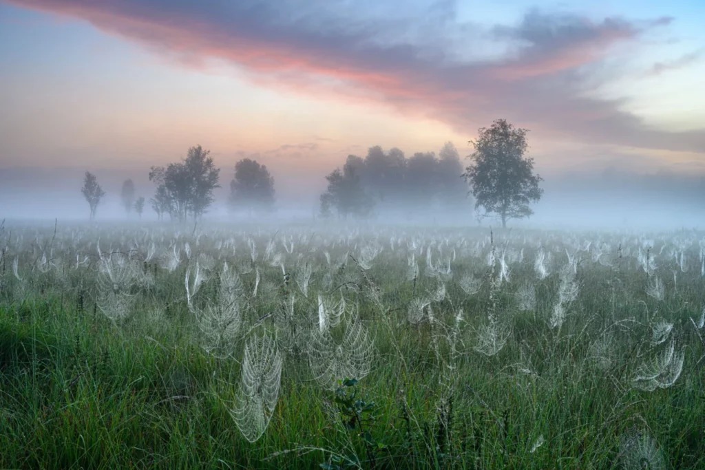 108_11zon
