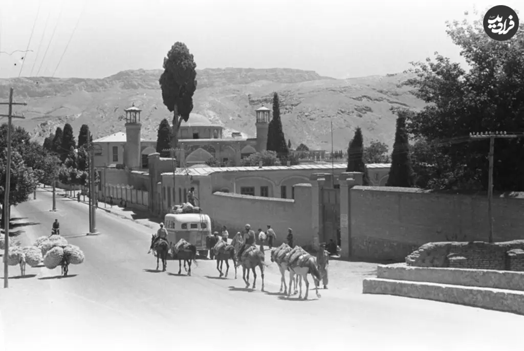 شیراز