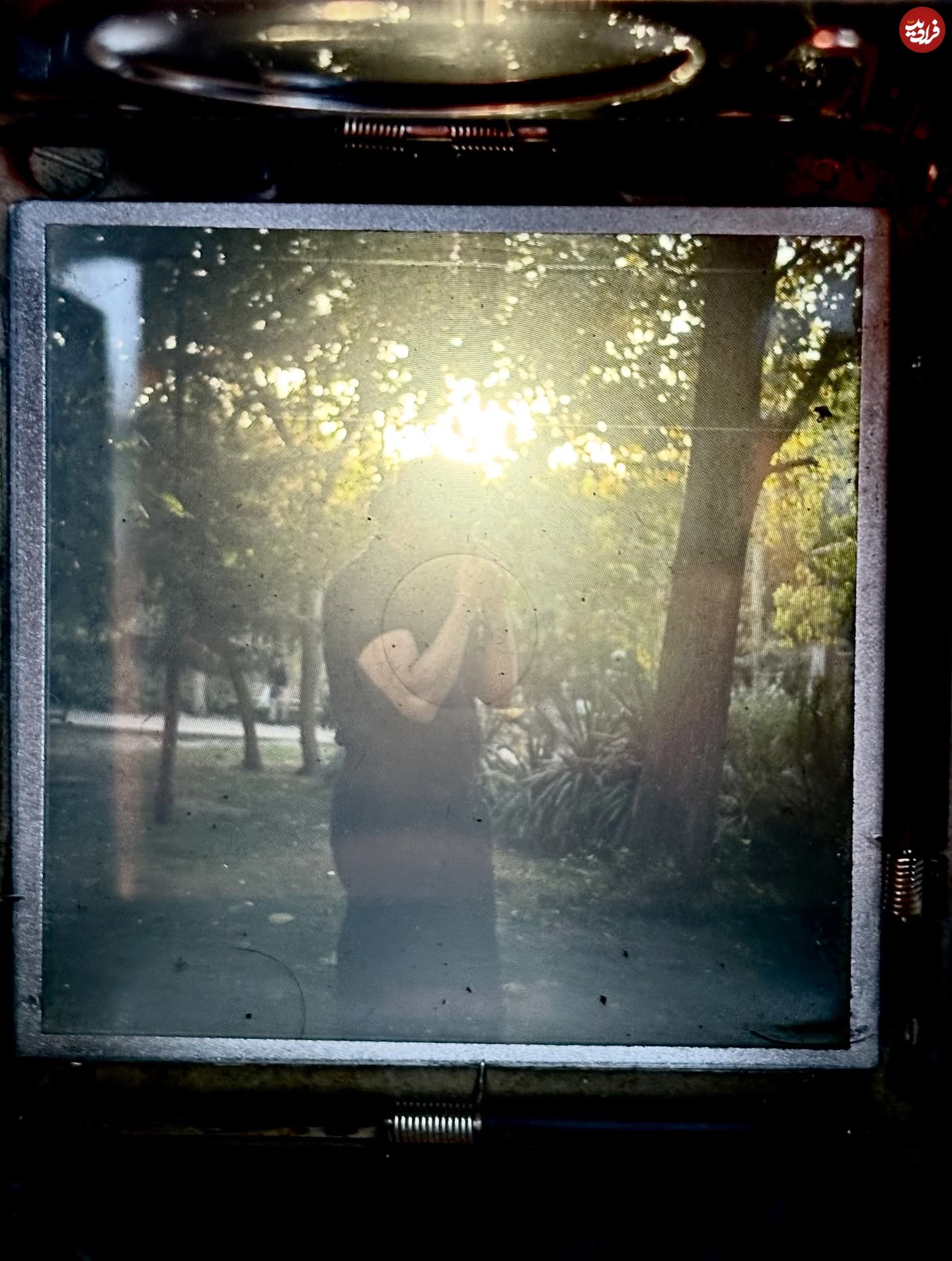 mehranranjbarart_1761483998_3751922172814725608_3595352860