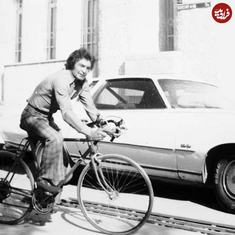 honarmandan_number_one_1465228657_1266752249863211378_1796095385