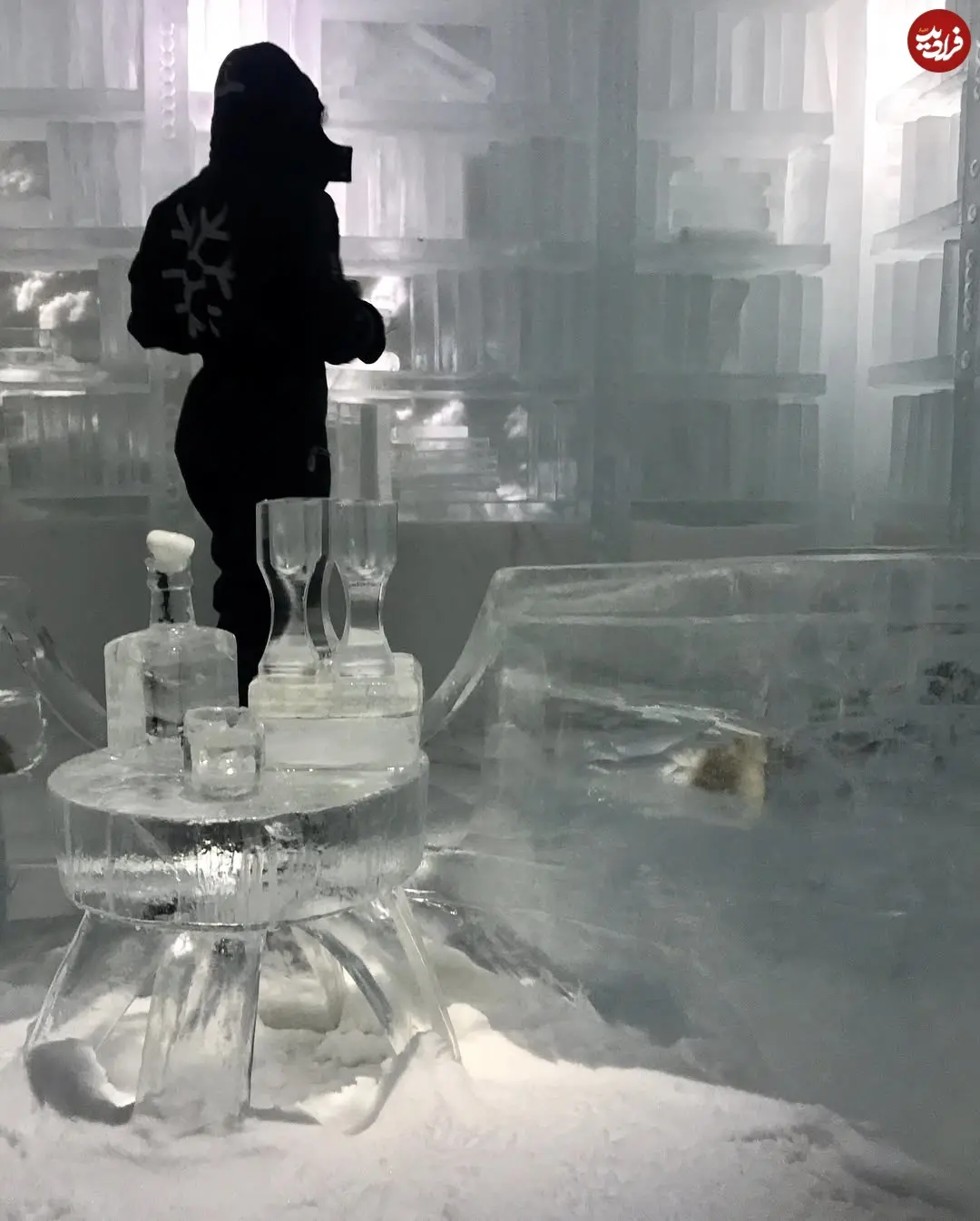 elnazshakerdoost_1514656092_1681379629887451536_279803529