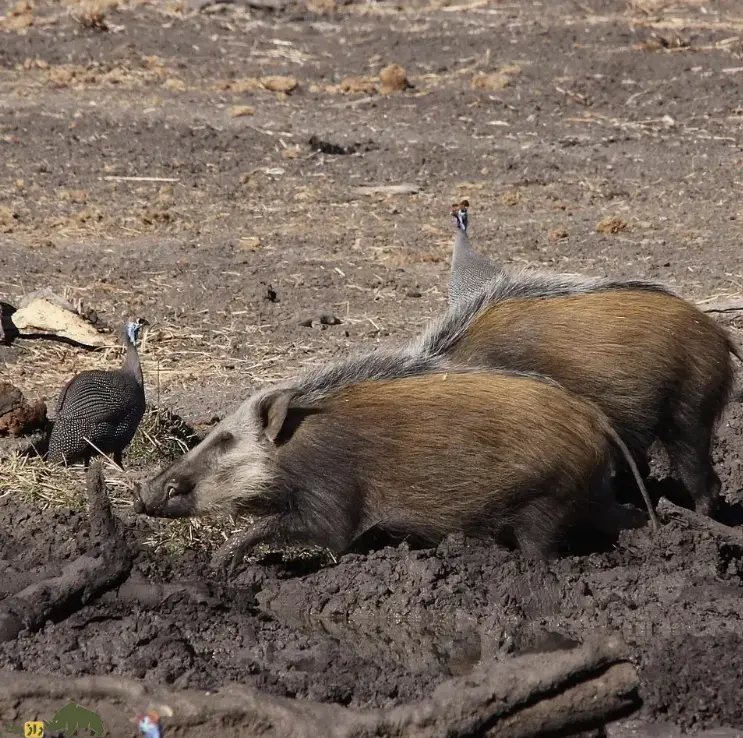 Screenshot 2026-01-21 230846