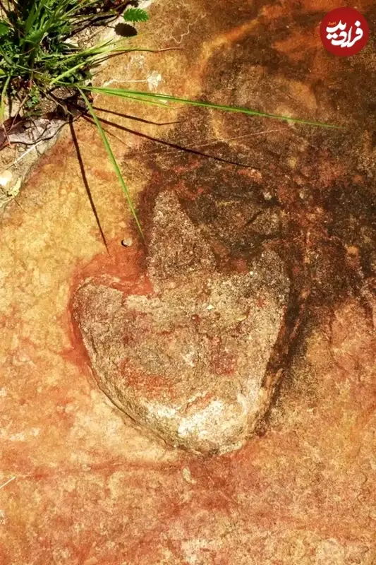 کشف ردپاهای مشابه 120 میلیون ساله در دو طرف اقیانوس اطلس