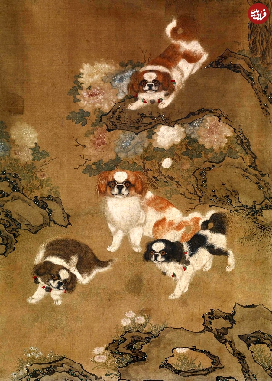 hanging-scroll-pekinese-dogs-ink-and-colours-on-paper