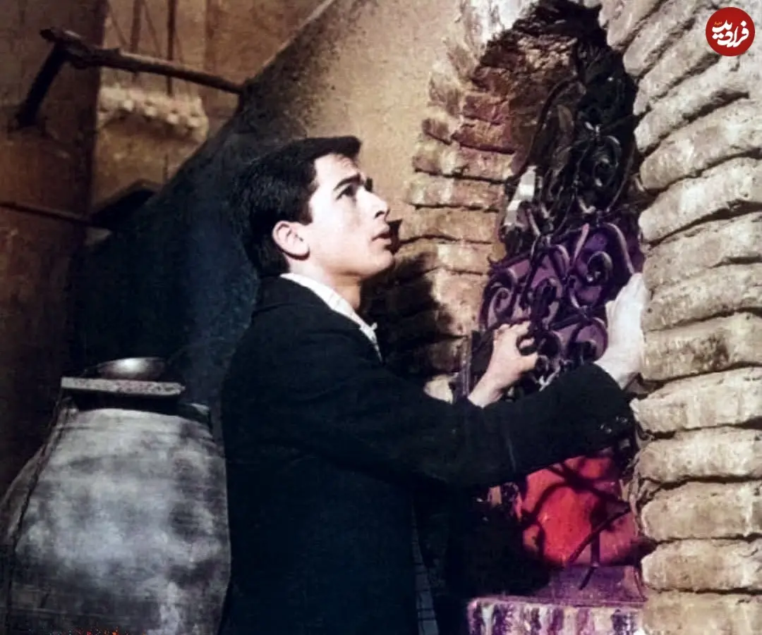 hgbn3000_1640535100_2737329277970435259_11671333881