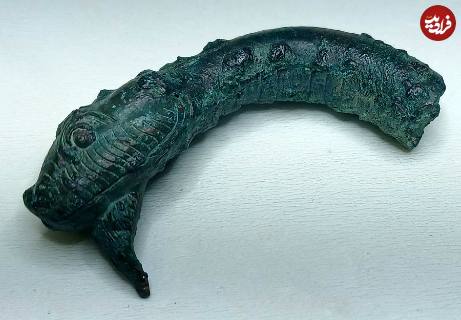 Bronze-snake-head