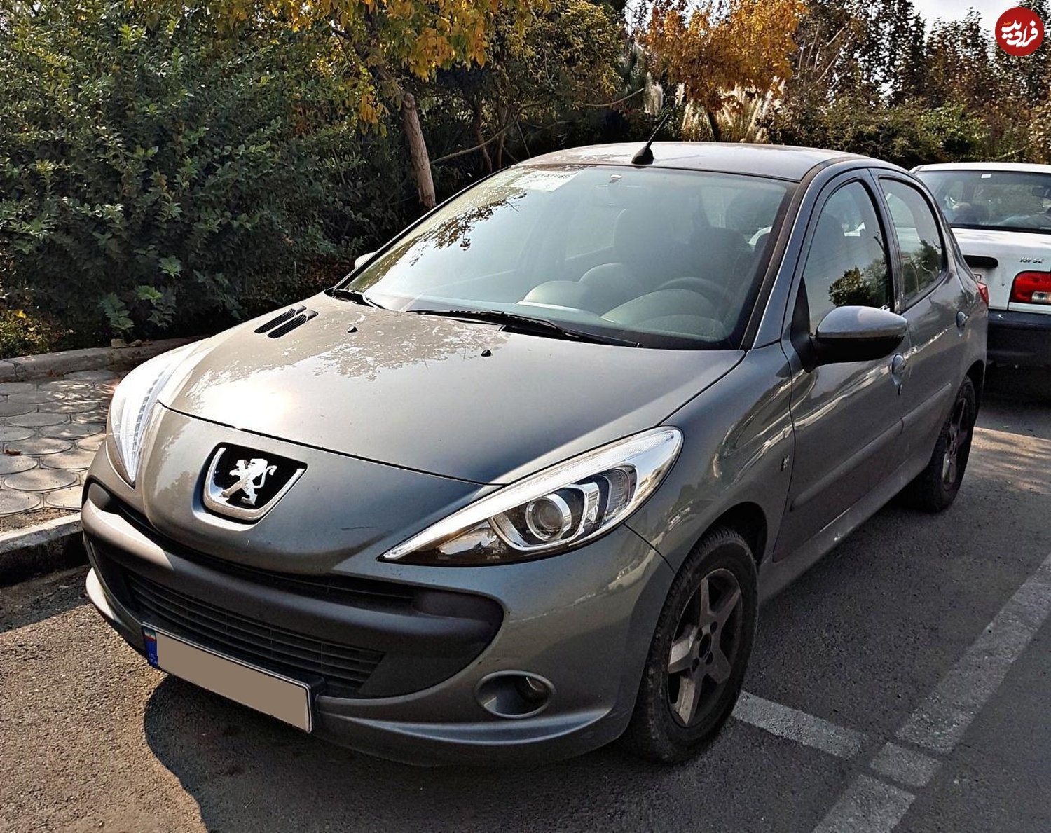 Peugeot_207i