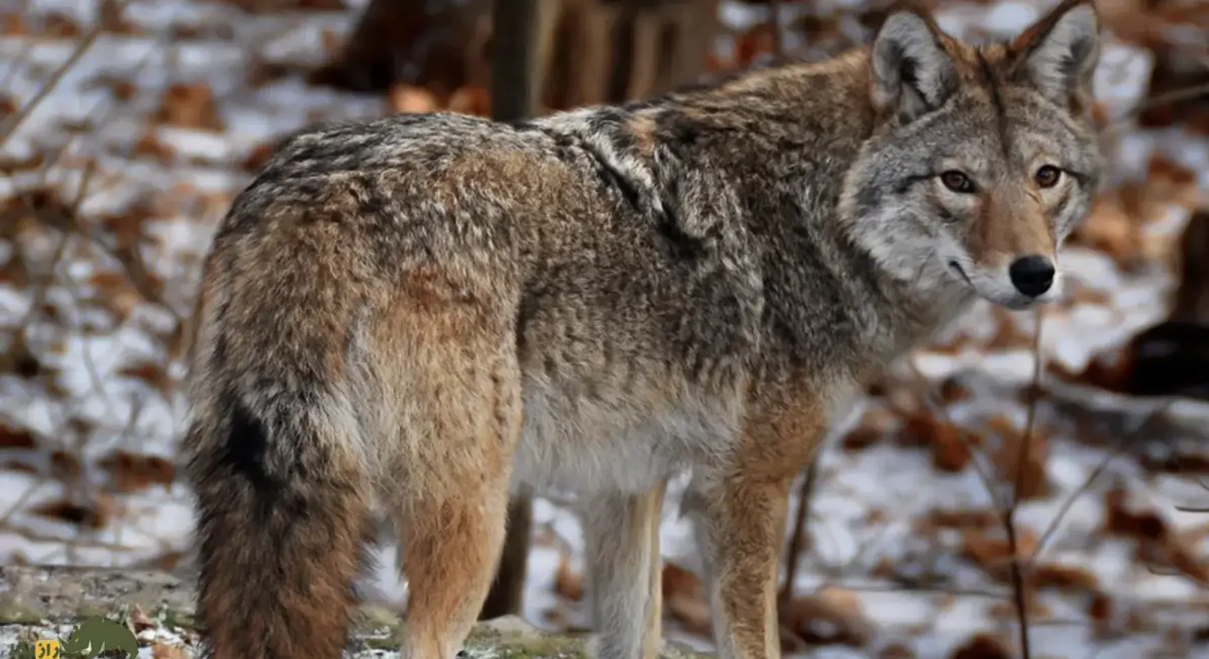 Screenshot 2026-01-21 223759