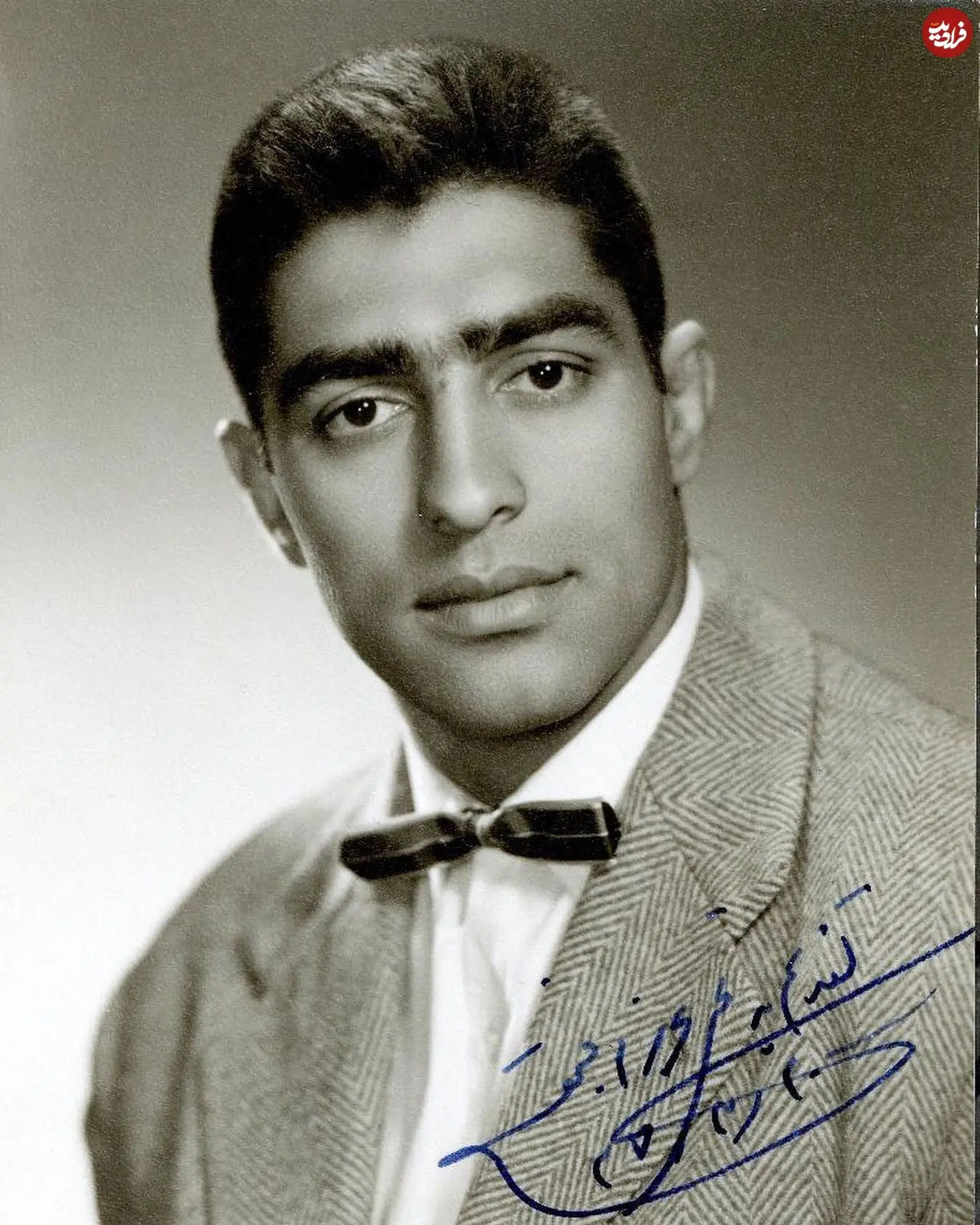 nikifardin_1588574961_2301456046612503885_44710718