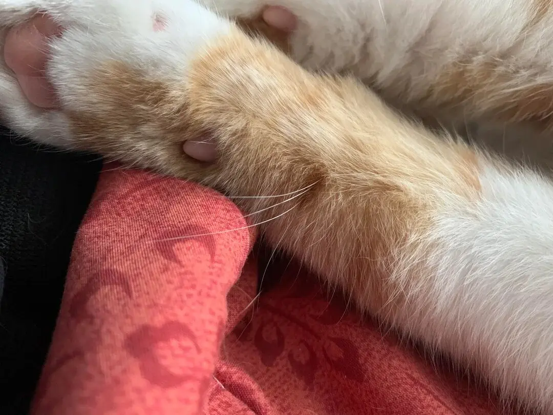 91