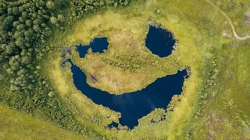 779