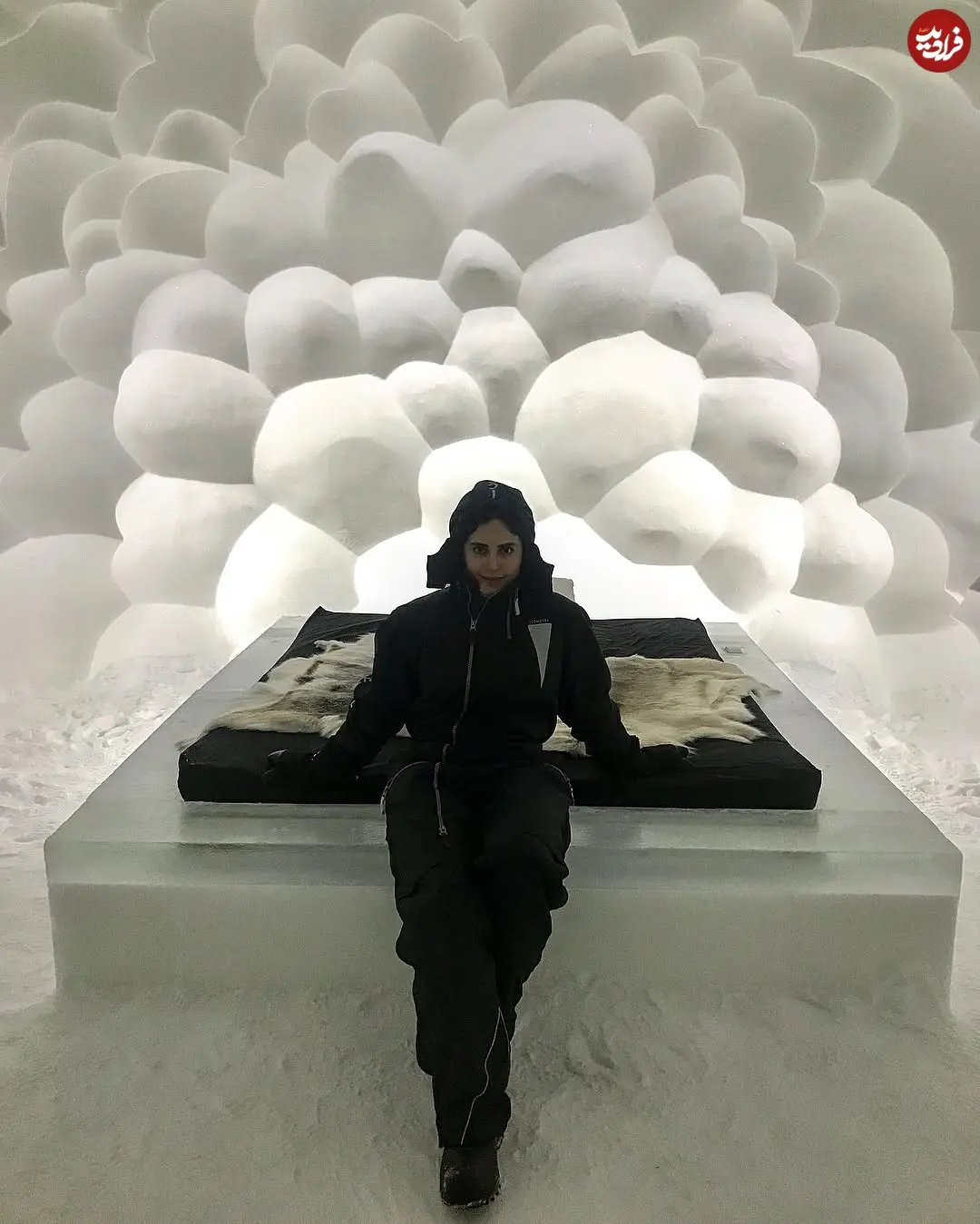 elnazshakerdoost_1514897382_1683403713177460594_279803529