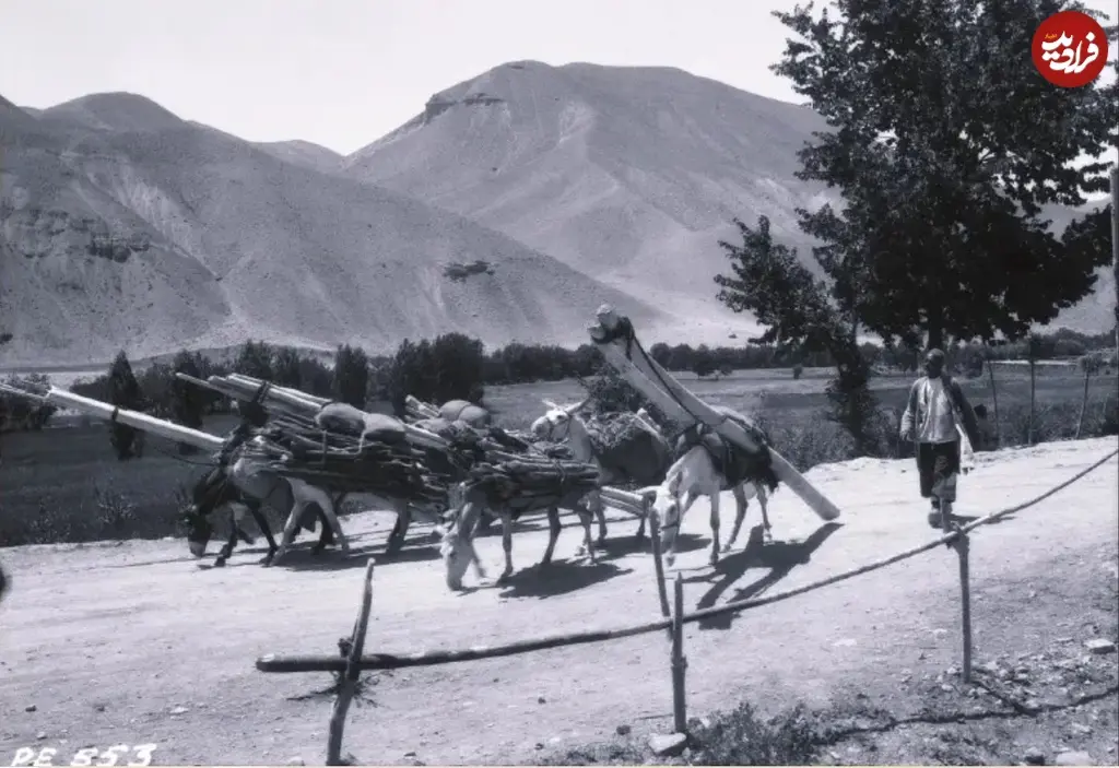 جاده سمنان 11