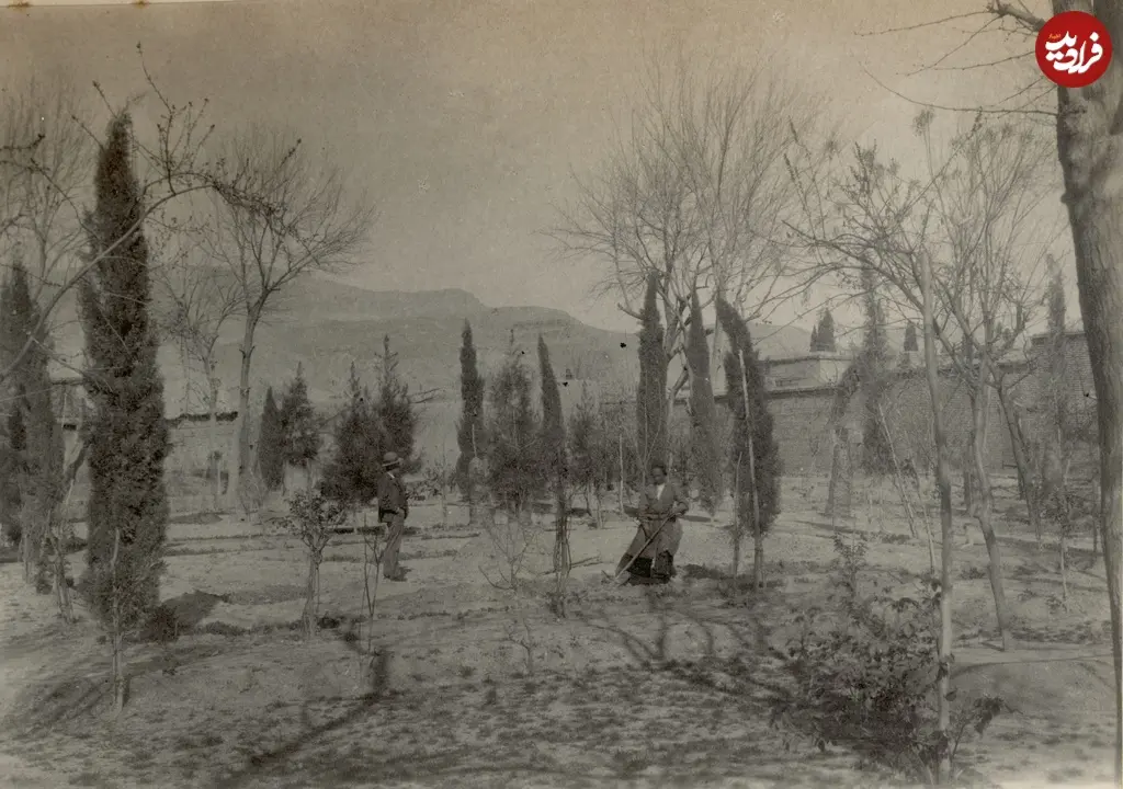 مولر باغ شیراز