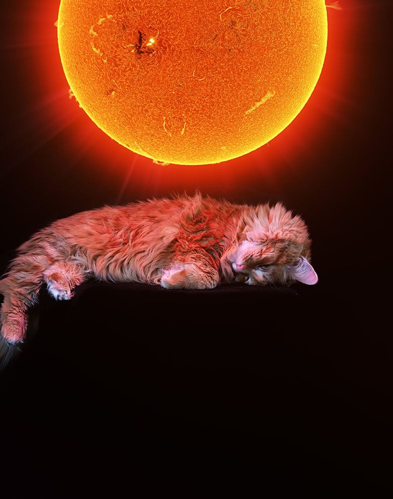 5
