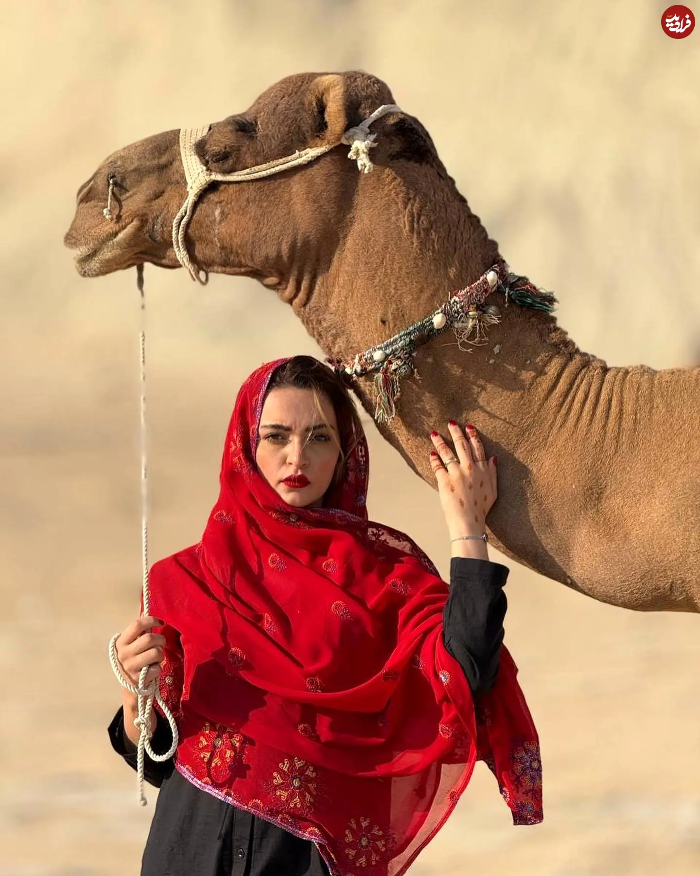 niloufar_parsa_1763236209_3766620781342925724_1041017484