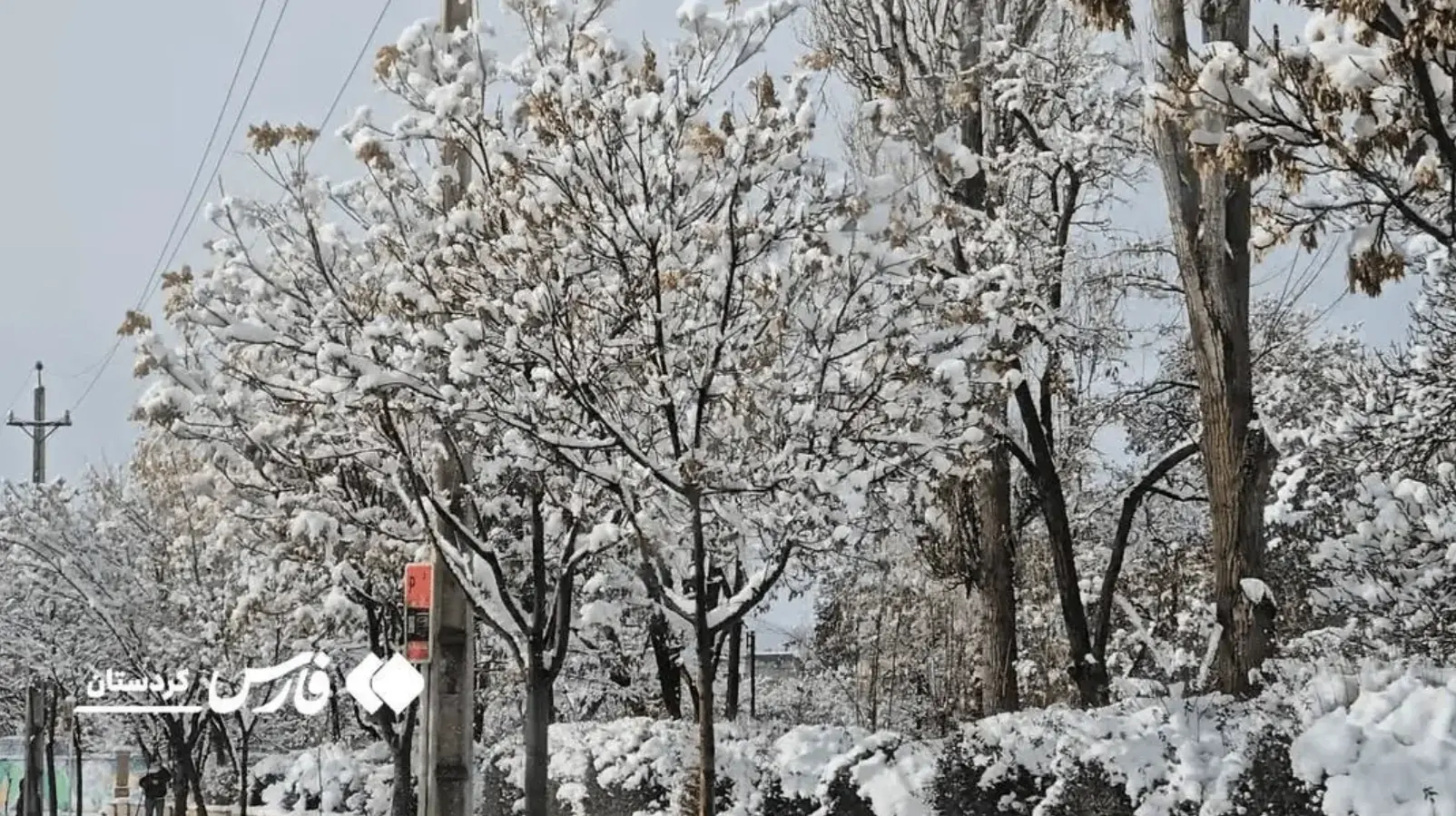 Screenshot 2026-01-15 003536