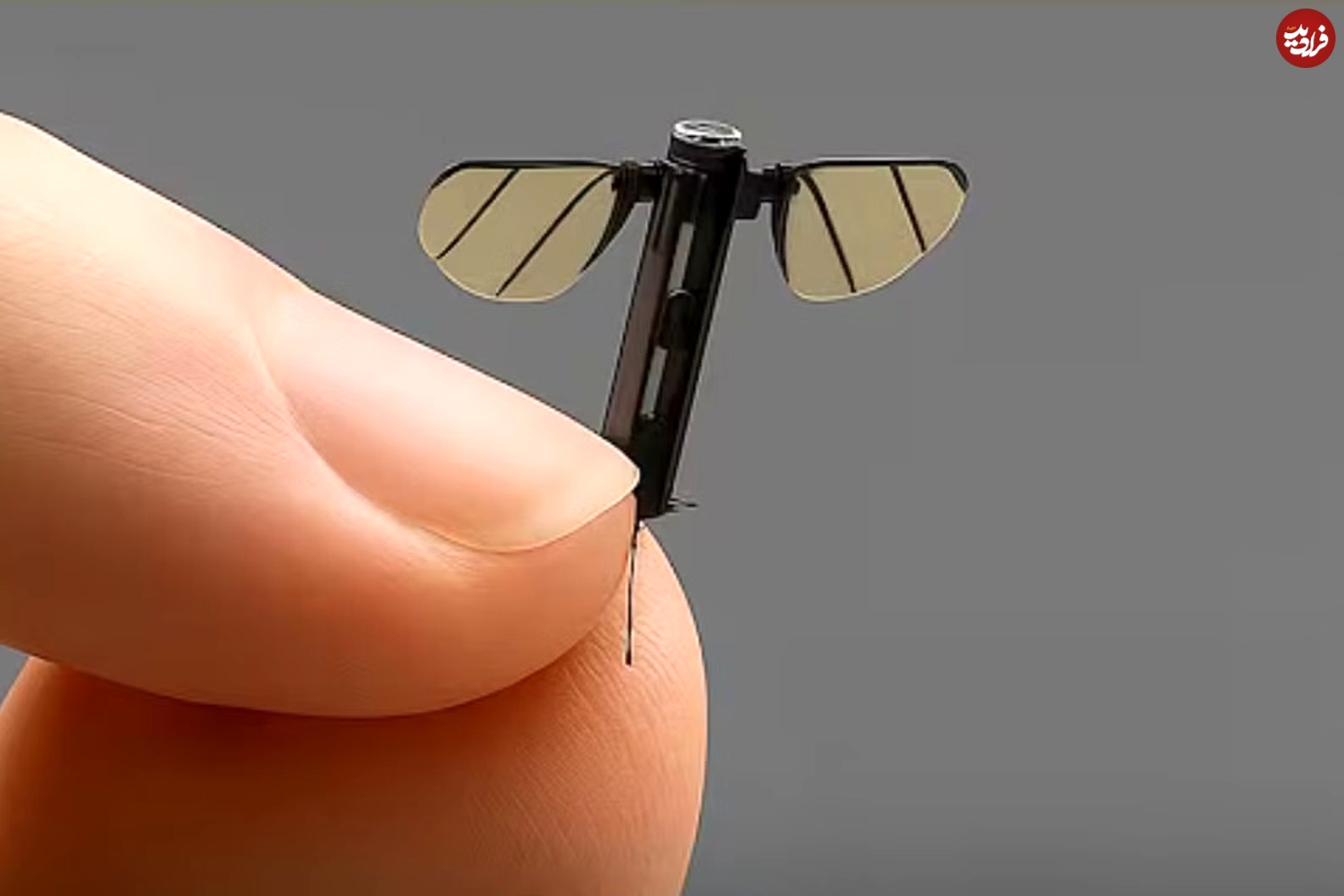 China mosquito spy drone NUDT_11zon