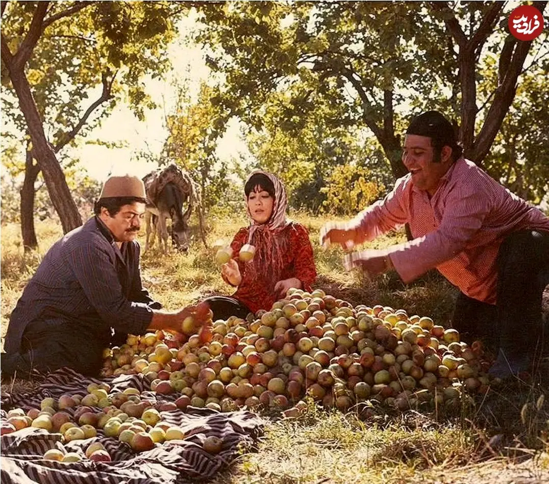 11zon_mahdi_taghipourofficial_1759481319_3735122487147638275_4947547150