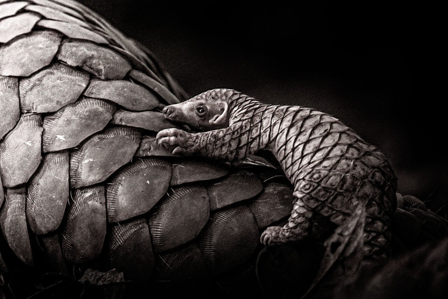 9