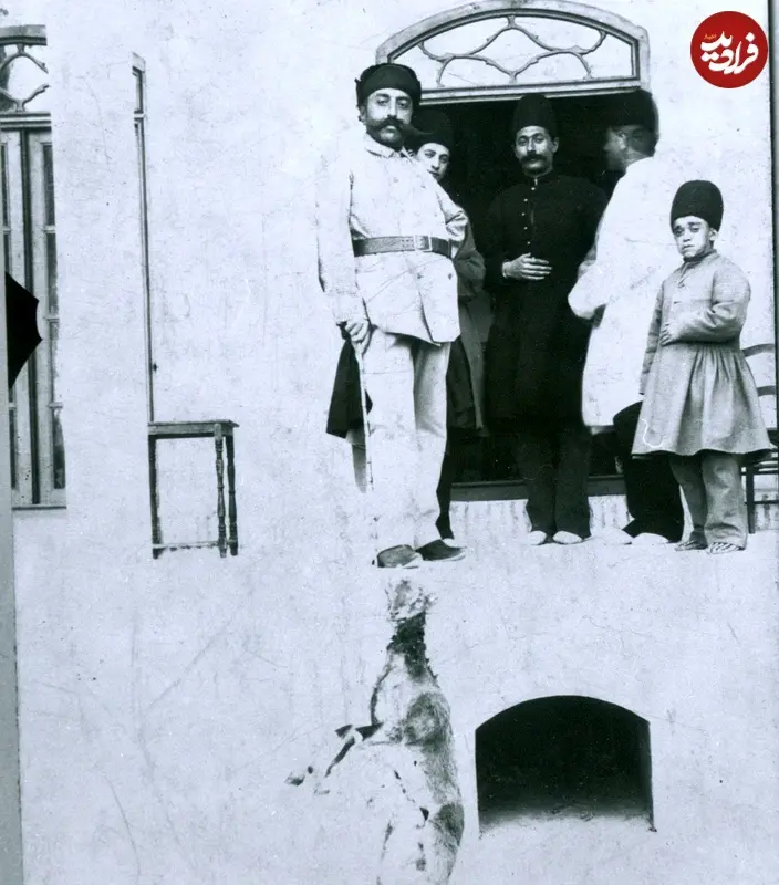 شکار