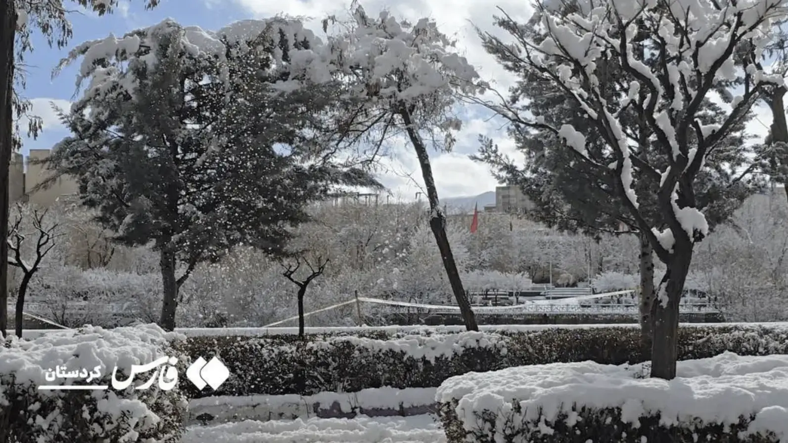 Screenshot 2026-01-15 003608