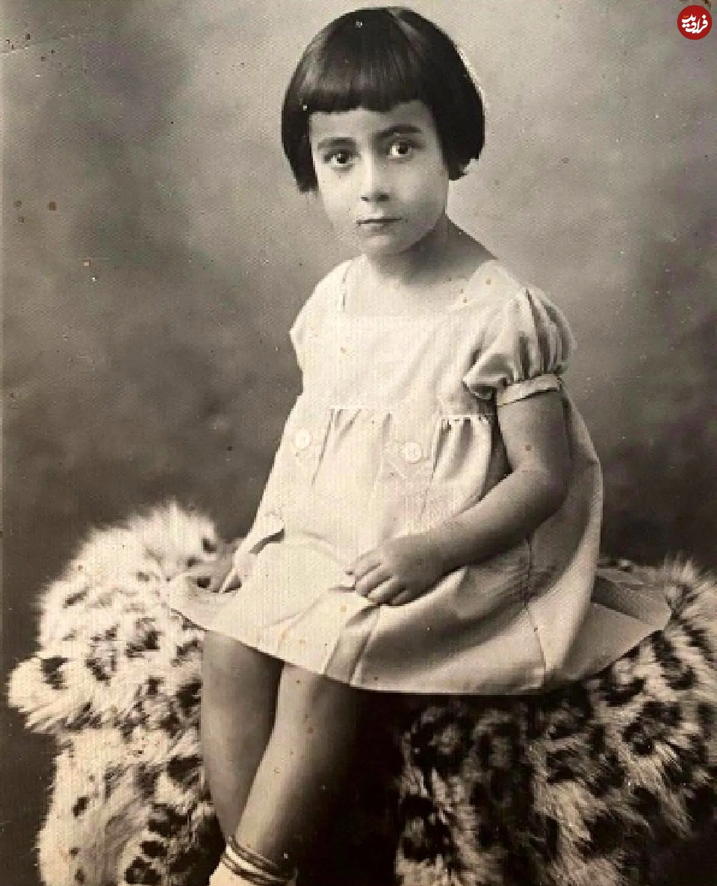 mehrdad.hodjatii_1730830851_3494784943324153121_55590182512