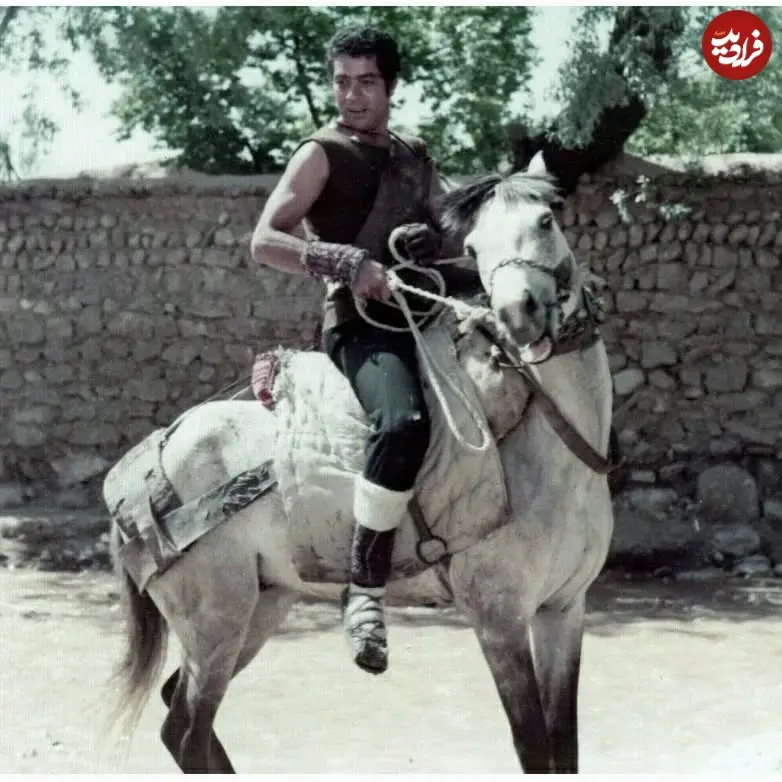 laleh_zar___1643395664_2761325430927522486_5988281608_11zon