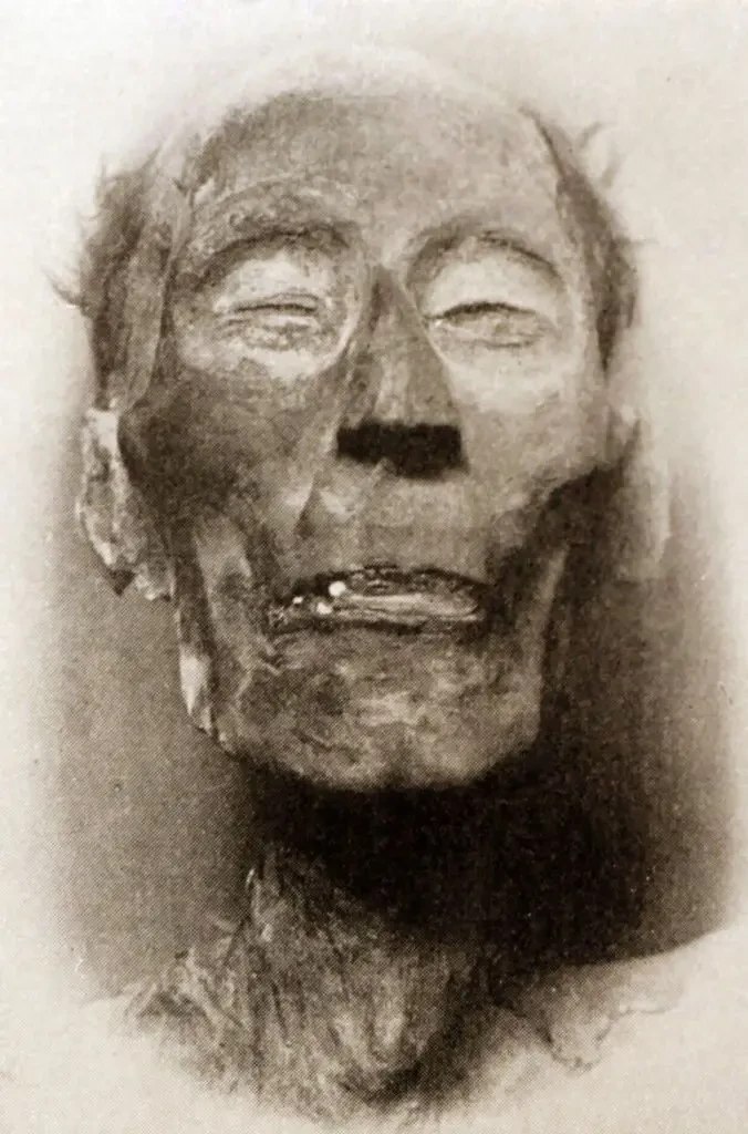 56