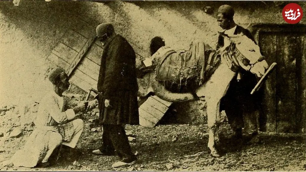 نعلبندی