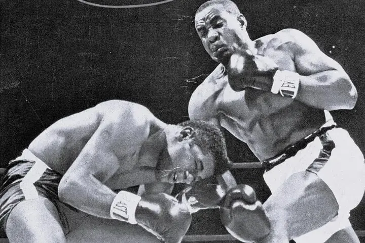 عکس بوکسور های معروف برای پروفایل