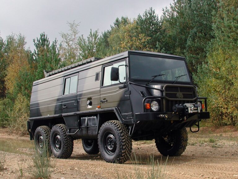 Pinzgauer-II45645-768x576