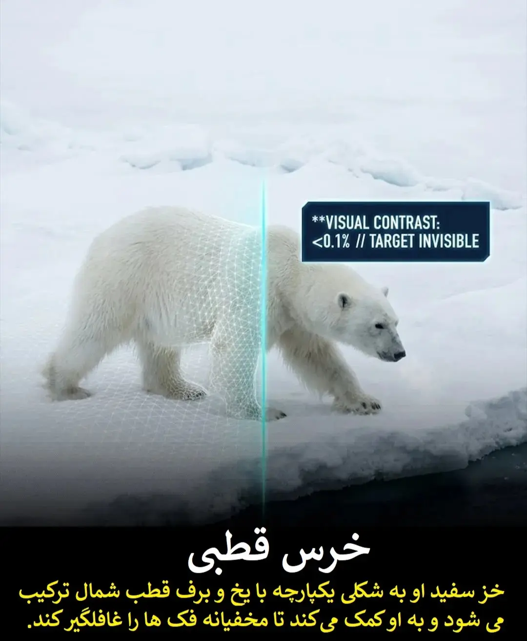 23b9349cZTp3ZWJwfGY6MjQ5MTYyOS5qcGd8ZnVpOjIzODU3OTZ8bDpmYXx2OjE